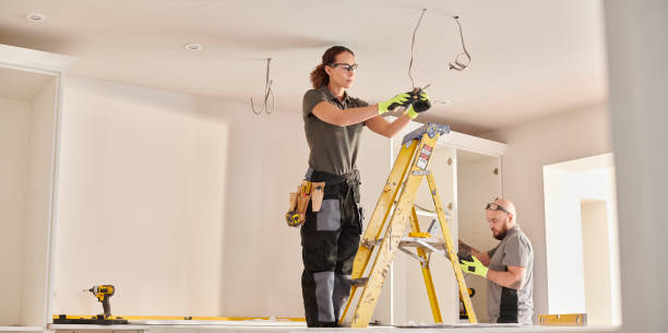 Best Electric Panel Repair  in Velda City, MO